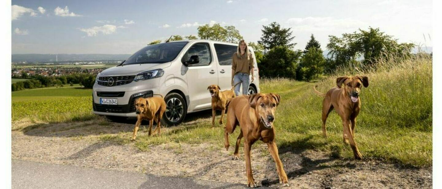 Zum Welthundetag: Auch Vierbeiner lieben den Opel Zafira-e Life